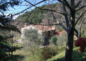 rustieke villa massarosa  photo 3